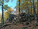 IMG_20241023_104548.jpg
