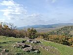 IMG_20241023_123915.jpg