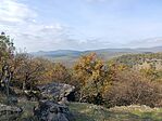IMG_20241023_123838.jpg
