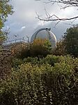 IMG_20241023_145831.jpg