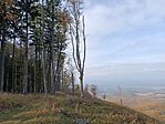 IMG_20241023_150256.jpg
