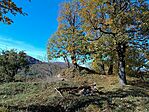 IMG_20241024_110510.jpg