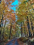 IMG_20241025_113654.jpg