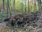IMG_20241025_095920.jpg