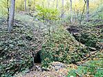IMG_20241025_094646.jpg