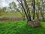 IMG_20241026_124946.jpg