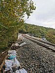 IMG_20241005_093440