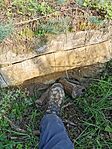 IMG_20241012_160647