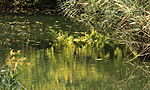 IMG_9119-3