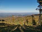 IMG_20241019_131945