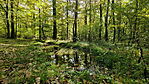 IMG20241011142147_resize