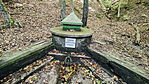 IMG20241011145146_resize