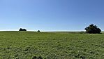 IMG_9770