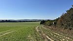 IMG_9774