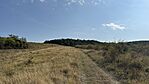 IMG_9731