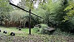 IMG_9702