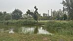 IMG_9688