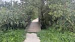 IMG_9689