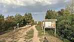 IMG_9664