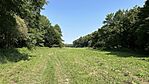 IMG_9591