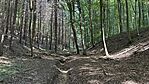 IMG_9592