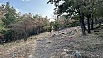 IMG_9546