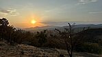 IMG_9550