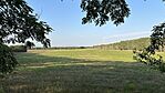 IMG_9540