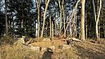 IMG_9530