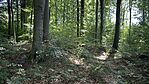 IMG_9485