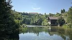 IMG_8237
