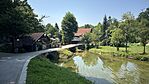 IMG_8246