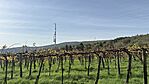 IMG_0297