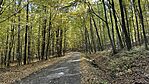 IMG_0415
