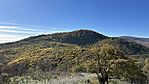 IMG_0420