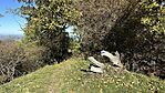 IMG_0424