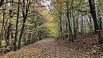 IMG_0449