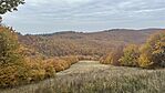 IMG_0467