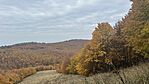 IMG_0468