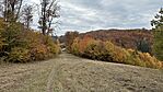 IMG_0471