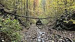 IMG_0473