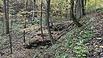 IMG_0477