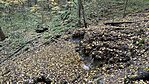 IMG_0478