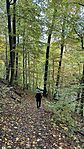 IMG_0482
