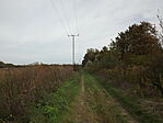 Zuhogó-1