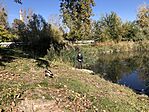 IMG_5220
