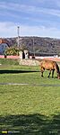IMG20241020125612