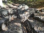 IMG_20241020_101435