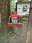 IMG_6617