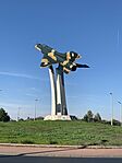 IMG_6784